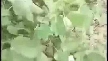 Couple from the village is caught having sex in the bush, desi XXX mms